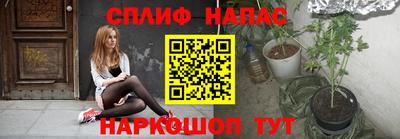 бошки Тверь