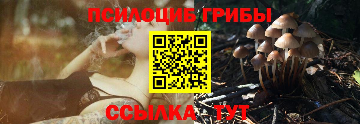 Псилоцибиновые грибы мухоморы Павловский Посад