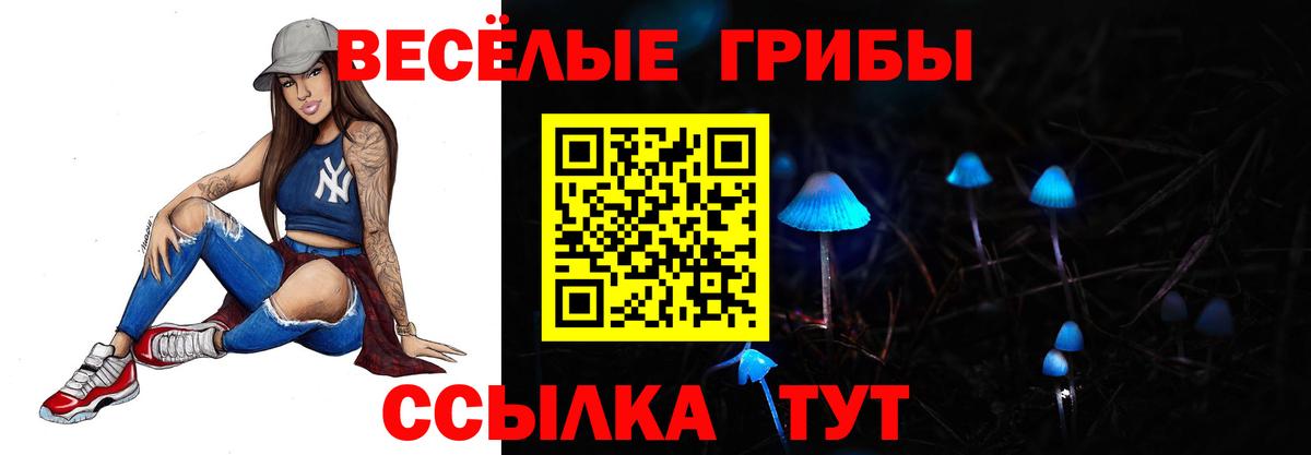 Павловский Посад  Галлюциногенные грибы Magic Shrooms  Вход с VPN 